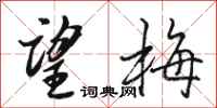 骆恒光望梅行书怎么写