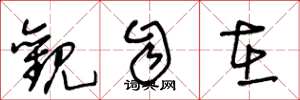 王冬龄观自在草书怎么写