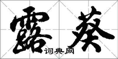 胡问遂露葵行书怎么写