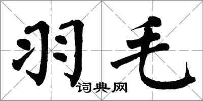翁闿运羽毛楷书怎么写