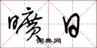 王冬龄旷日草书怎么写