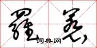 王冬龄罗惹草书怎么写