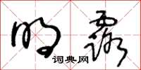 王冬龄明露草书怎么写