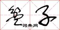 王冬龄盆子草书怎么写