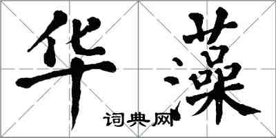 翁闿运华藻楷书怎么写