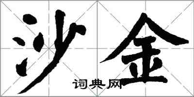 翁闿运沙金楷书怎么写
