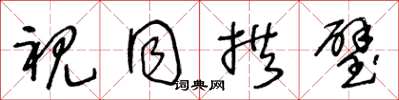 王冬龄视同拱璧草书怎么写
