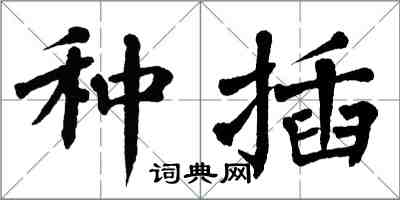 翁闿运种插楷书怎么写