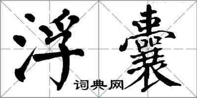 翁闿运浮囊楷书怎么写