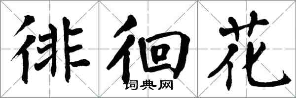 翁闿运徘徊花楷书怎么写