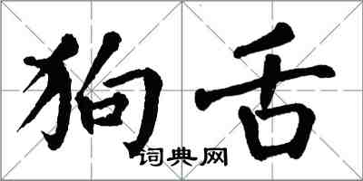 翁闿运狗舌楷书怎么写