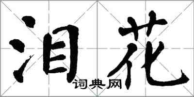 翁闿运泪花楷书怎么写