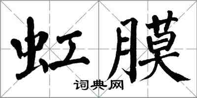 翁闿运虹膜楷书怎么写