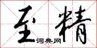 钱沛云至精行书怎么写