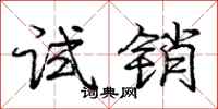 庞中华试销行书怎么写