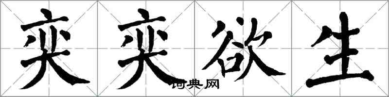 翁闿运奕奕欲生楷书怎么写