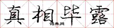 庞中华真相毕露行书怎么写
