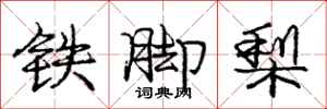 庞中华铁脚梨行书怎么写