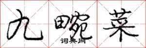 庞中华九畹菜行书怎么写
