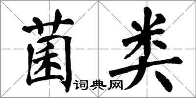 翁闿运菌类楷书怎么写