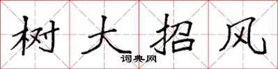 袁强树大招风楷书怎么写