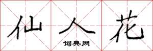 袁强仙人花楷书怎么写