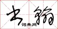 王冬龄书翰草书怎么写