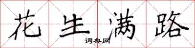 袁强花生满路楷书怎么写