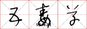 王冬龄五毒草草书怎么写