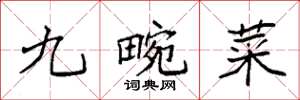 袁强九畹菜楷书怎么写