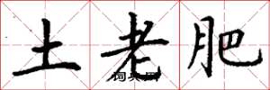 丁谦土老肥楷书怎么写