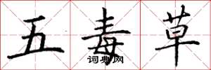 丁谦五毒草楷书怎么写