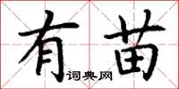丁谦有苗楷书怎么写