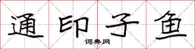 袁强通印子鱼楷书怎么写