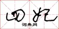 王冬龄四妃草书怎么写