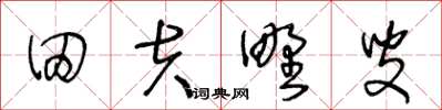 王冬龄田夫野叟草书怎么写