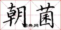 丁谦朝菌楷书怎么写