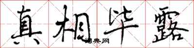 曾庆福真相毕露行书怎么写