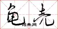 曾庆福龟壳行书怎么写