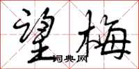 曾庆福望梅行书怎么写