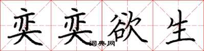 荆霄鹏奕奕欲生楷书怎么写