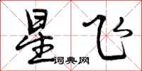 曾庆福星飞行书怎么写
