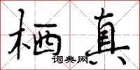曾庆福栖真行书怎么写