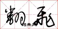 王冬龄翻飞草书怎么写