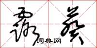 王冬龄露葵草书怎么写