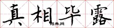 周炳元真相毕露楷书怎么写