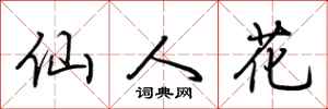 荆霄鹏仙人花行书怎么写