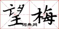 周炳元望梅楷书怎么写