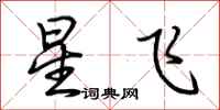 荆霄鹏星飞行书怎么写