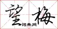 荆霄鹏望梅行书怎么写